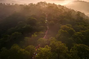 Cung đường chạy giữa đỉnh Lang Biang cùng vẻ đẹp hùng vĩ, cuốn hút.