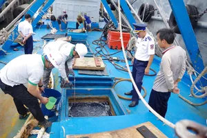 Liên tiếp phát hiện, xử lý nhiều vi phạm trên vùng biển phía Nam