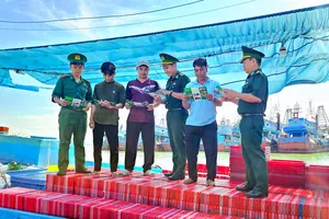 TPHCM: Xử lý dứt điểm 100% tàu cá vi phạm IUU trong đợt cao điểm