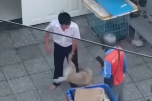 Xác minh vụ shipper bị đánh vì từ chối cắt lông chó