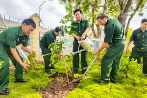 Hội Cựu chiến binh TPHCM: Chung tay về một Thành phố muôn sắc hoa
