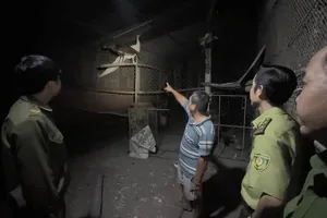 TPHCM: Khởi tố vụ án nuôi nhốt trái phép động vật hoang dã