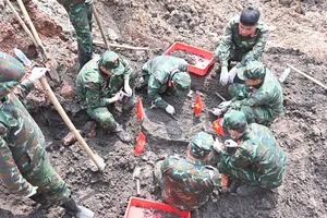 Tìm thấy thêm 8 bộ hài cốt liệt sĩ tại Công viên Lê Thị Riêng
