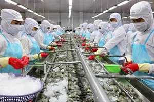 Tạo đường băng cho doanh nghiệp nhỏ và vừa "cất cánh": Tăng lượng phải tăng chất