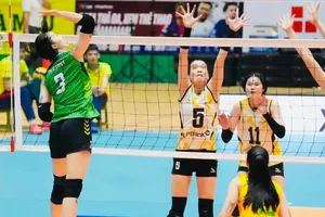 Giải bóng chuyền nữ vô địch quốc gia các CLB 2026: Tham vọng vô địch và trụ hạng