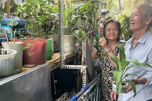 Chuyện tình già của một thương binh