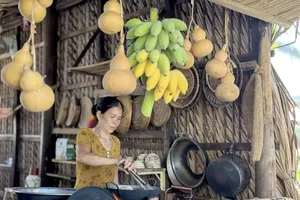 Quê nhà nải chuối, buồng cau