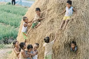 Vị của mùa Thu