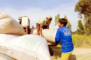 Giá gạo “lao dốc”: Nông dân, thương lái... lỗ vốn