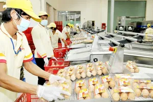 Thúc đẩy doanh nghiệp tư nhân phát triển xứng tầm