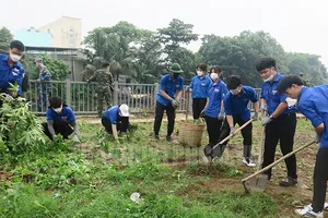 Chung tay vì thành phố xanh, sạch, đẹp