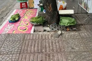 Vụ “Lối đi người khiếm thị… đâm vào cây xanh, trụ điện”: Sẽ điều chỉnh lại lối đi cho người khiếm thị