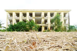 Khu nội trú bỏ hoang giữa đồng mía ở Phú Yên: Huyện chỉ đạo sớm khắc phục, tránh lãng phí