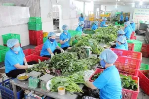 Tăng mức răn đe với vi phạm an toàn thực phẩm