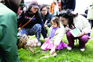 Ngày Trái đất 22-4-2025: Ủng hộ năng lượng tái tạo và thúc đẩy năng lượng sạch