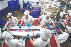 Nền móng thúc đẩy kinh tế tư nhân phát triển