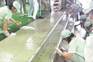 Tai nạn lao động: Sự chủ quan và nỗi đau dai dẳng