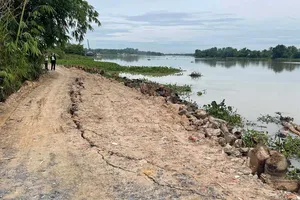 Khẩn trương xử lý sạt lở bờ bao sông Sài Gòn