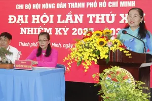 Xây dựng nông thôn mới kiểu mẫu, thông minh