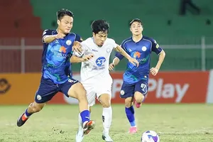 Nỗi buồn đất võ