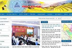 Lập 99 cổng thông tin điện tử thành phần cấp xã