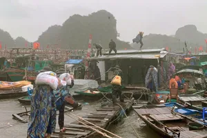 Trưa nay, bão số 3 vào đất liền