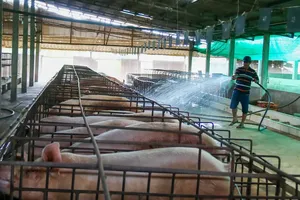 Tư lệnh ngành ở đâu?