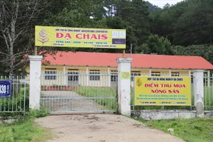 Hoang phí điểm thu mua nông sản vùng sâu