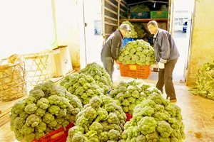 Xuất khẩu của Việt Nam sang nhiều thị trường chủ lực sẽ tăng mạnh