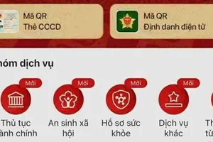 Hướng dẫn đăng ký tài khoản nhận tiền an sinh xã hội qua VNeID