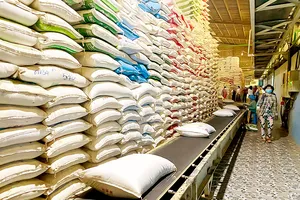 Nỗ lực mở rộng thị trường xuất khẩu gạo