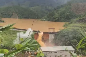 Mưa lũ dồn dập tại các tỉnh miền Bắc: Cấp bách triển khai các biện pháp ứng phó