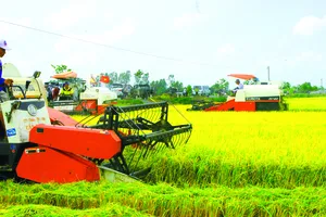 Giảm phát thải, tăng giá trị