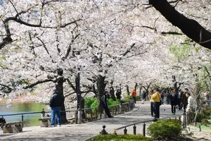 Kiến tạo không gian sống xanh