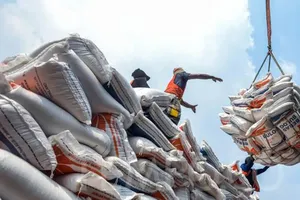 Xuất khẩu gạo sang Trung Quốc tăng mạnh