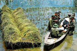 Ánh đèn biên giới