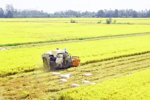 11 tháng, xuất khẩu nông nghiệp đạt hơn 64 tỷ USD