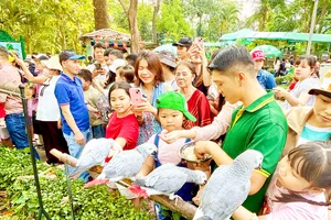 Rộn ràng du lịch đầu năm mới