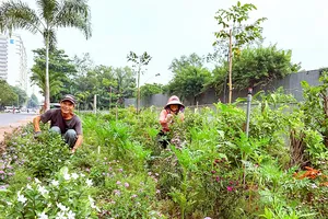 Những khu phố ngập sắc hoa