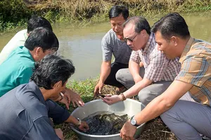 Đồng bằng sông Cửu Long: Ngăn chặn khai thác thủy sản kiểu tận diệt