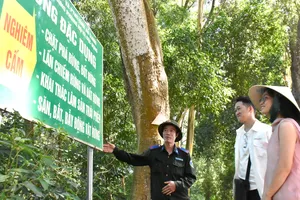 ĐBSCL căng mình phòng chống cháy rừng