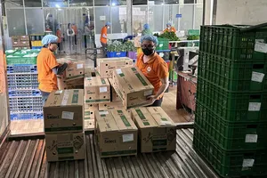 Giá hàng hóa tăng theo giá cước vận chuyển