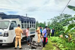 Vụ nữ sinh tử vong do TNGT ở Vĩnh Long: Bắt cựu Phó Thủ trưởng Cơ quan CSĐT Công an huyện Trà Ôn (cũ)