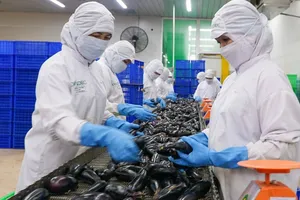 Ngành lương thực - thực phẩm: Tham gia sâu vào chuỗi giá trị