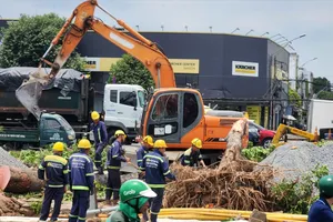 Đốn hạ cây xanh trên đường Trường Chinh, phường Tân Sơn, TPHCM. Ảnh: TÍNH LIÊN