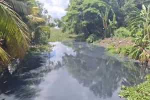 Cà Mau: Bãi rác quá tải, gây ô nhiễm nặng nề