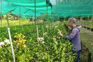 Đồng hành giúp nông dân làm giàu