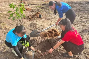 Khi người trẻ chung tay lo việc cơ sở