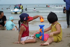 Dằm tre trong cát