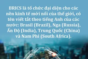 Việt Nam chủ động mở rộng không gian hợp tác từ BRICS